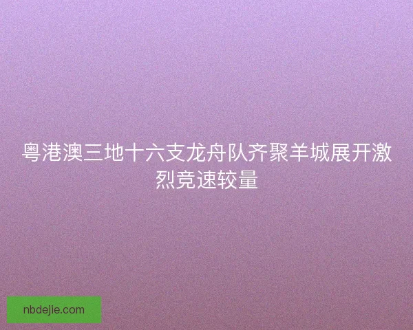 粤港澳三地十六支龙舟队齐聚羊城展开激烈竞速较量